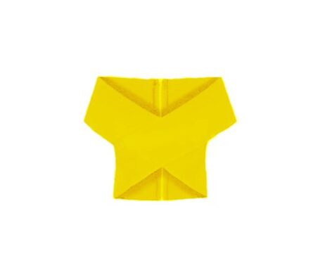 Azin Croptop