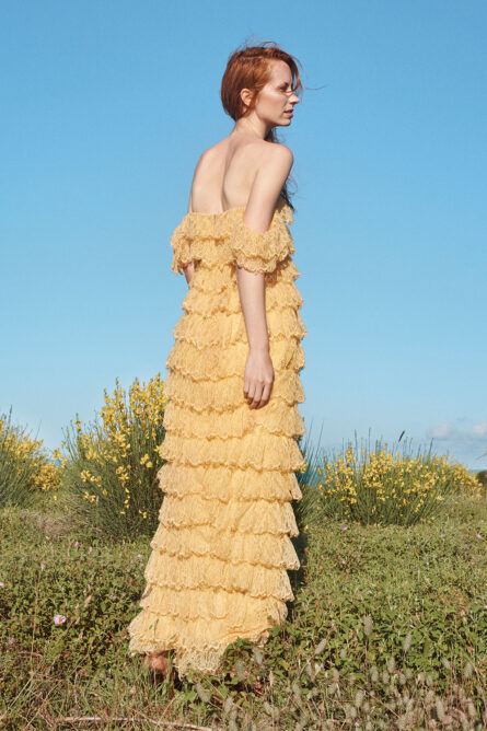 Fancy French Dress - Image 1